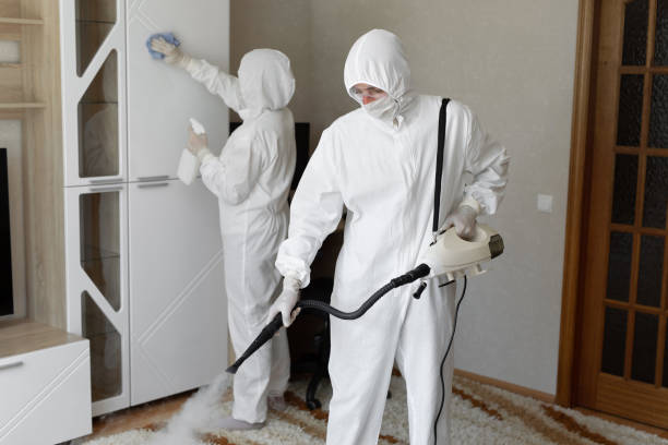 Mold Removal and Inspection in Osceola, MO
