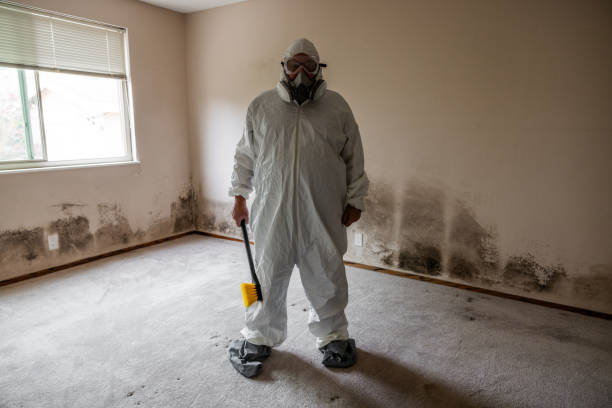 Best Local Mold Removal Service  in Osceola, MO